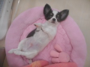 DSCN9519