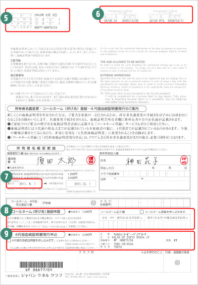 血統証明書サンプル裏面