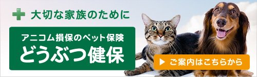 アニコム損保