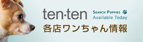 各店ワンちゃん情報