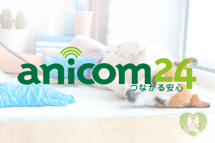 ペット保険と電話相談サービス