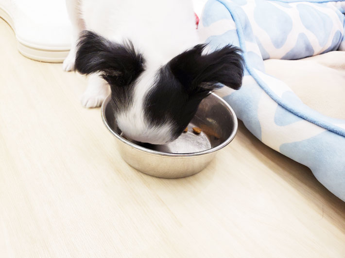 おひるごはん