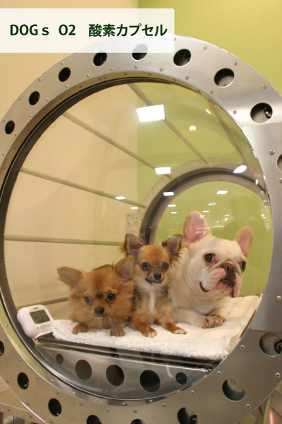 アリオ店 ペットハウステンテンペットハウステンテン