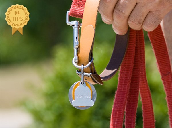 犬を飼う時の心構え