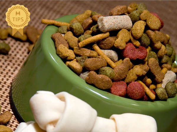 はじめに用意するもの