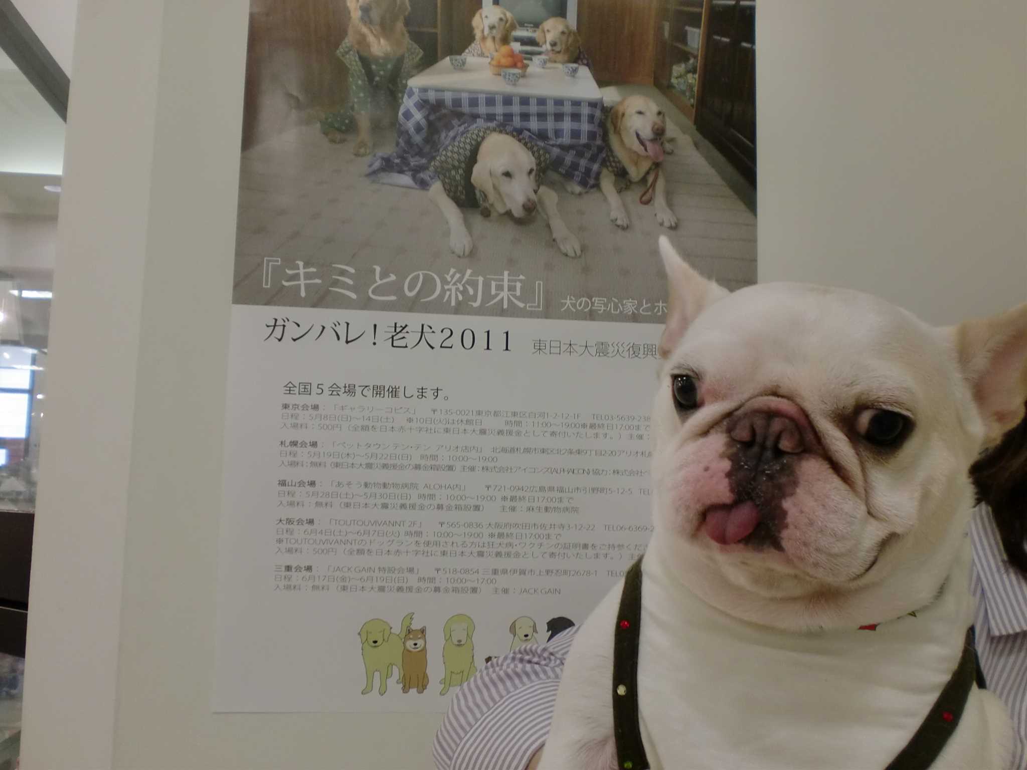 ホタパパ写心展 ご報告☆  ペットハウステンテンペットハウステンテン