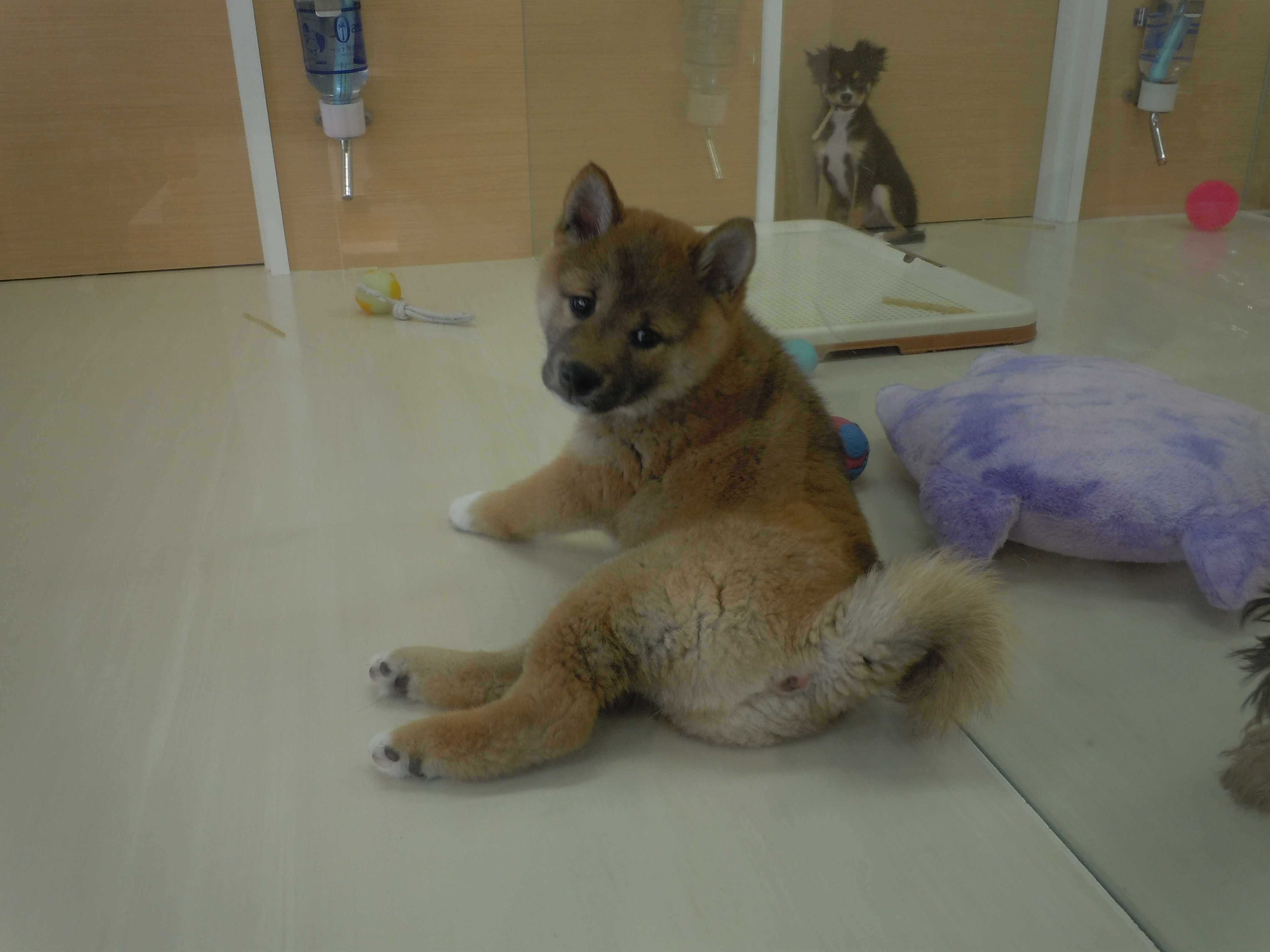 何か気になる……