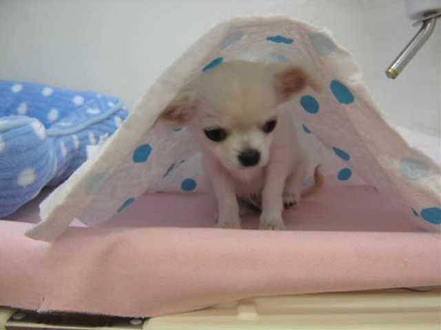 ちーくんが！！