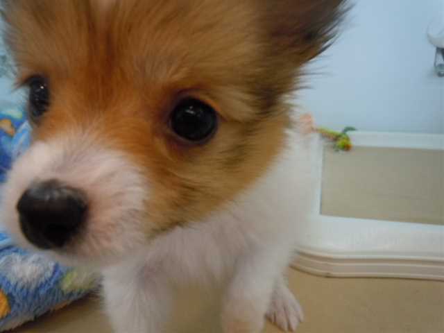 のぞいてみよう～＼(◎o◎)／！