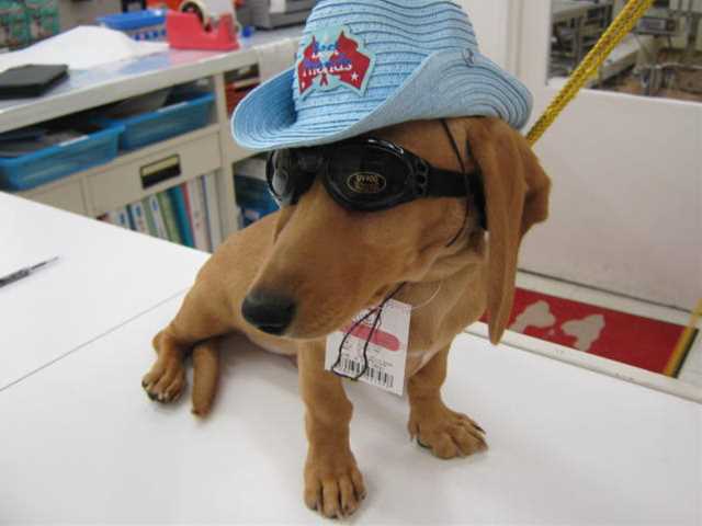 オシャレしてイケメンに！！