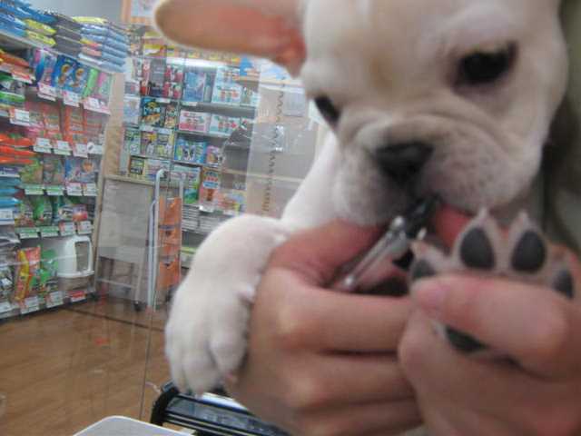 お手入れお手入れ♪
