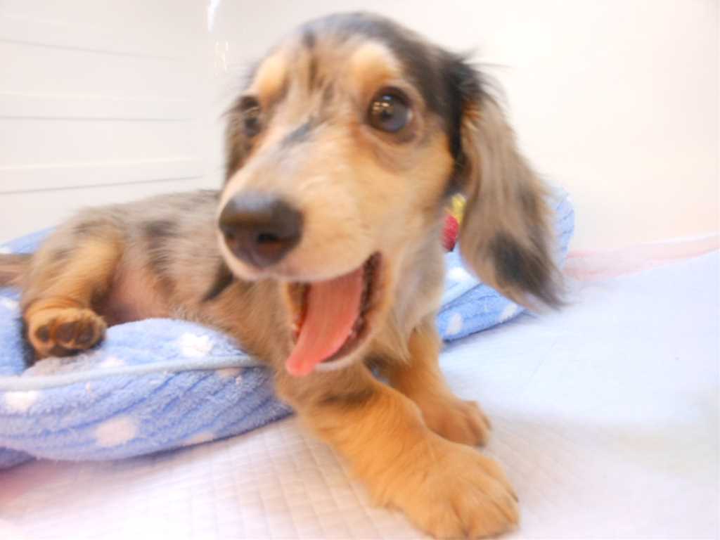 重大発表！！