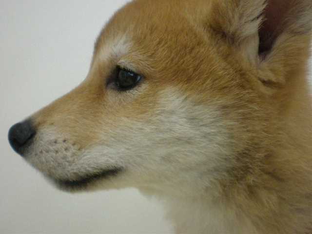 しーやん、イケメンにっ☆☆☆