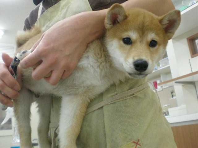 しーやんクイズ!!!!!!!
