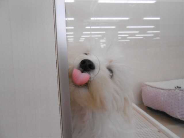 ごはんの時間です♪