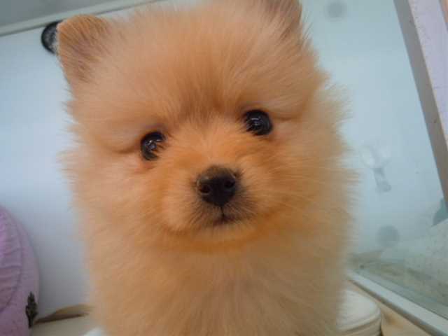 ☆今日のポンちゃん☆