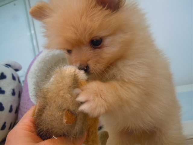 楽しいな～♪