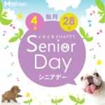 毎月４日と２８日は「イキイキ Happy Senior Day」