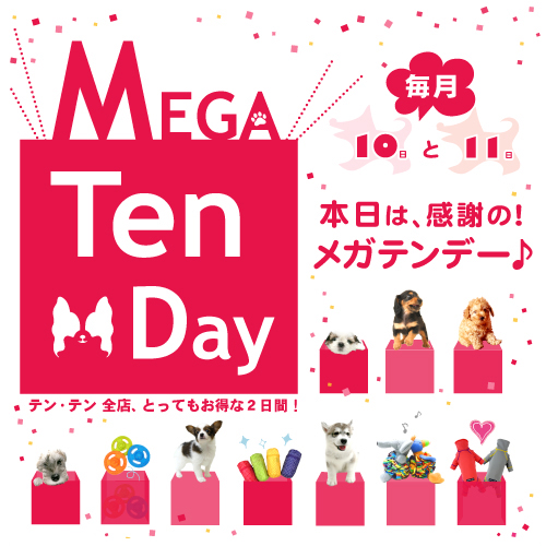 メガテンデー