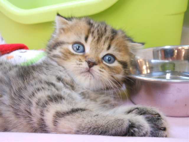 始めまして♪