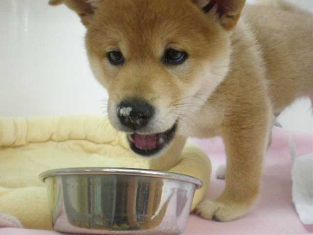 元気のみなもと！！