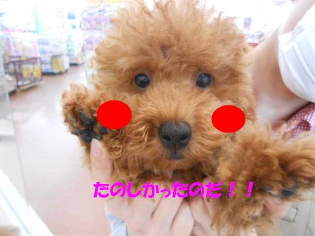 本日は。。。