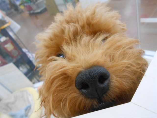 ぼくの、、、☆