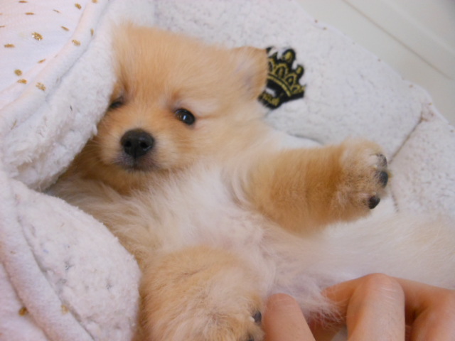 はじめまして～☆