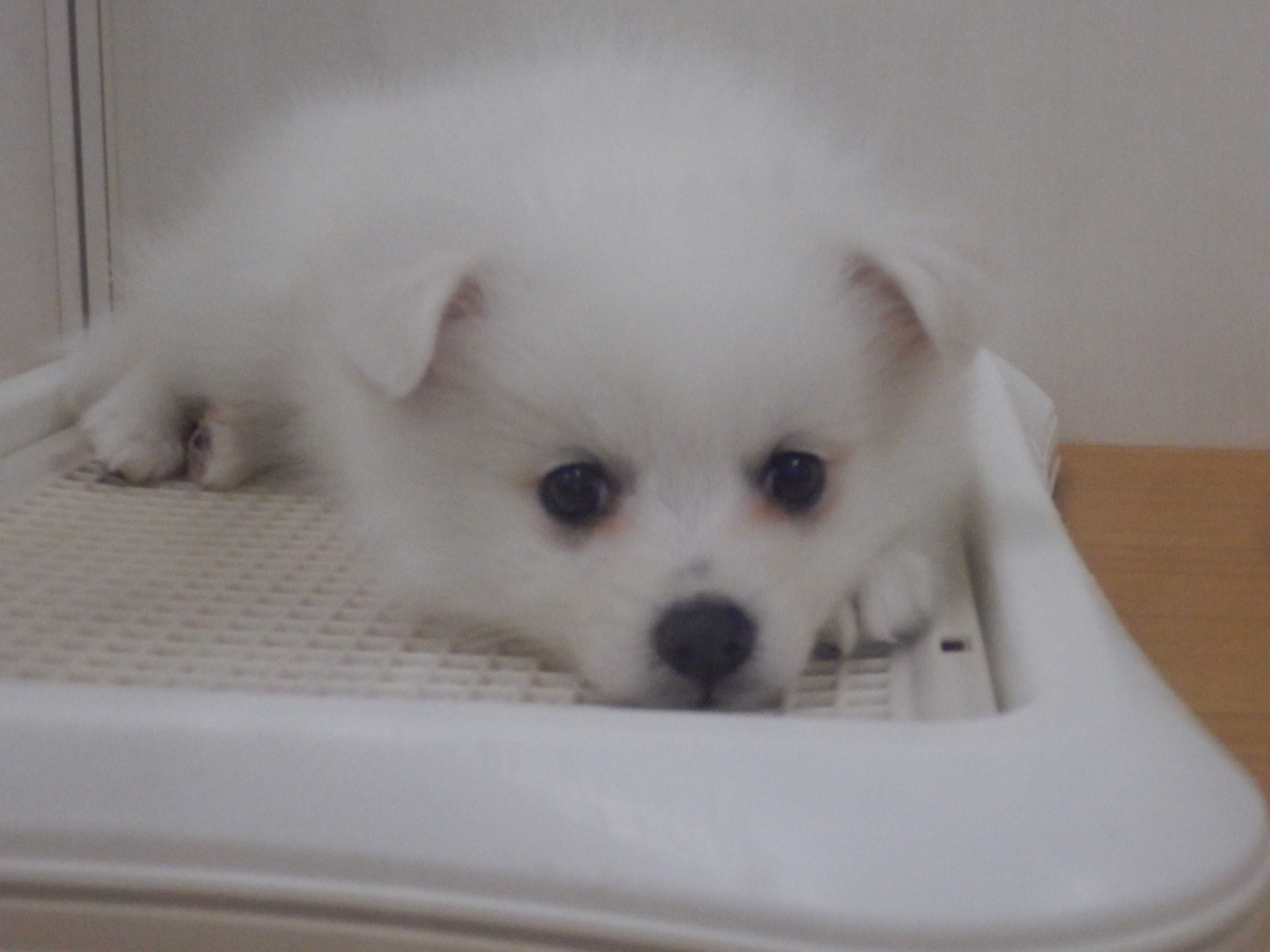 ☆だ～れだ？☆