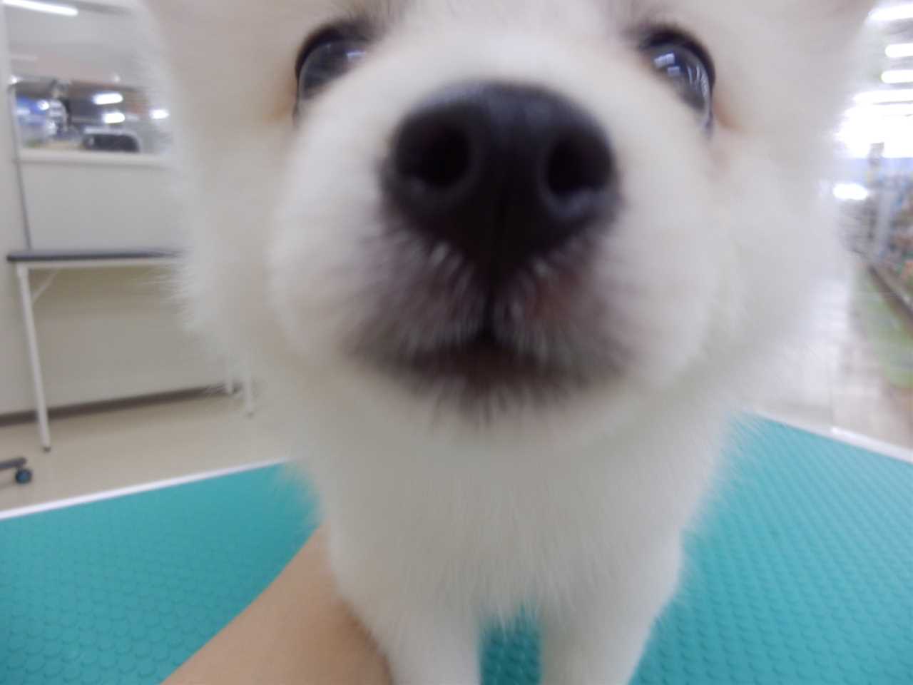 正解は。。。