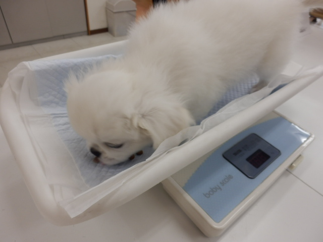 体重測定パート２！！