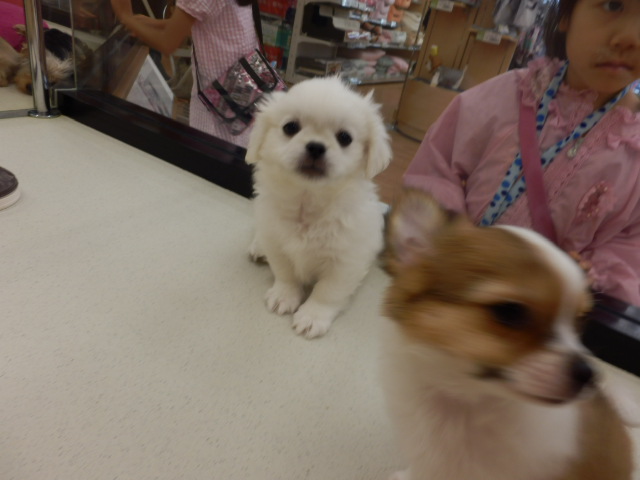 お友達☆