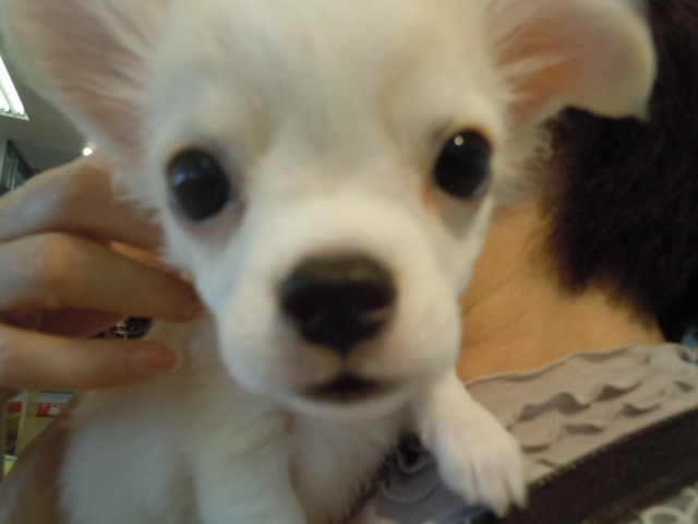 ☆卒業しました☆