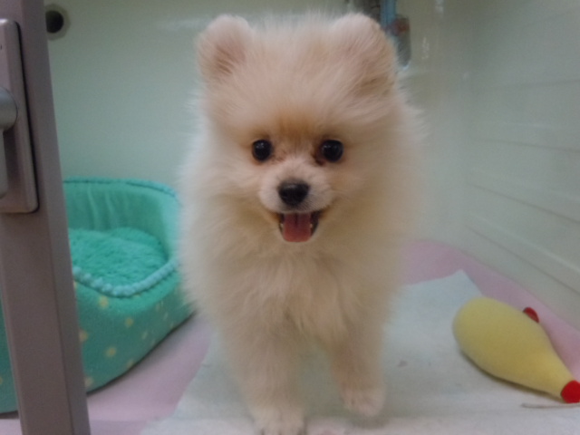 初めての・・・