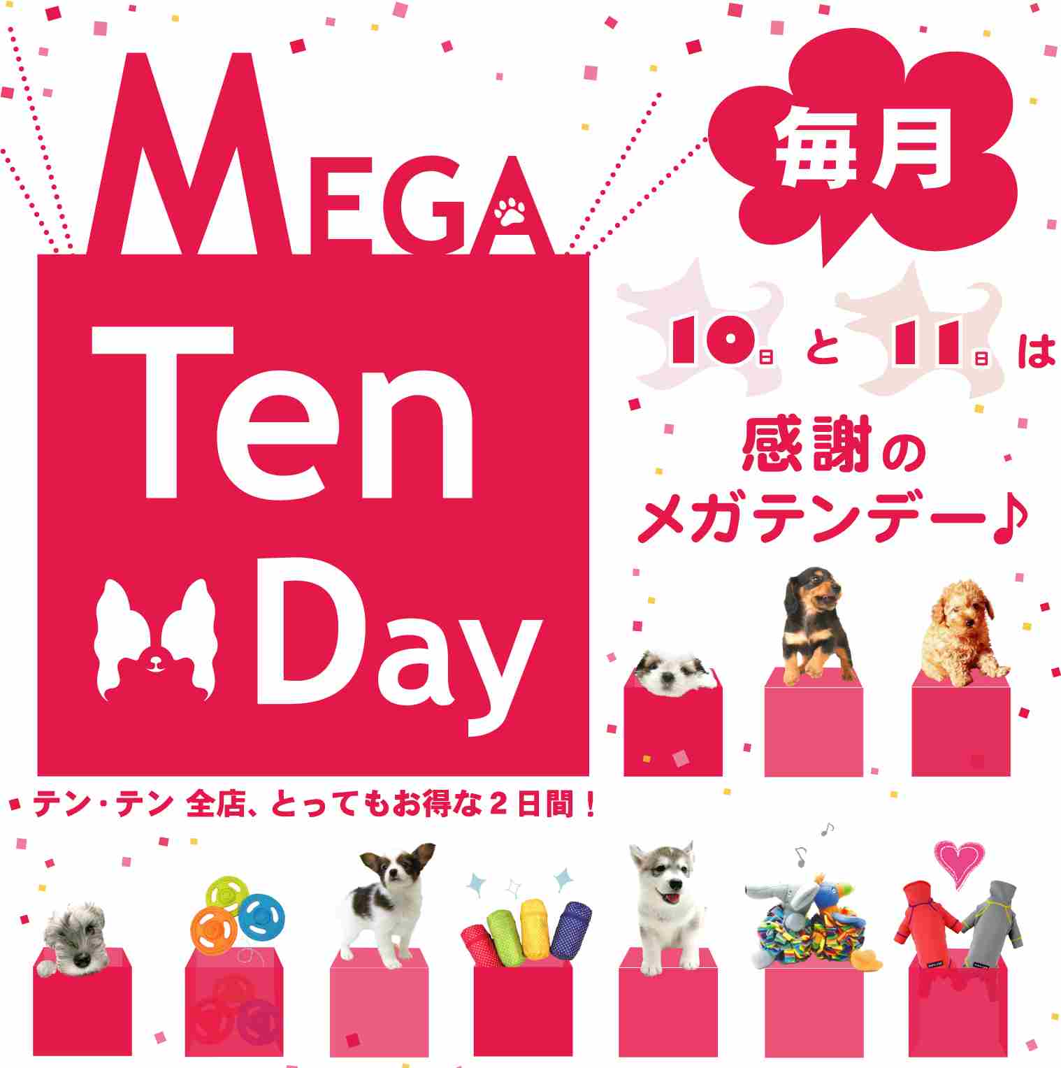 １０日、１１日は毎月恒例！「メガテンデー」