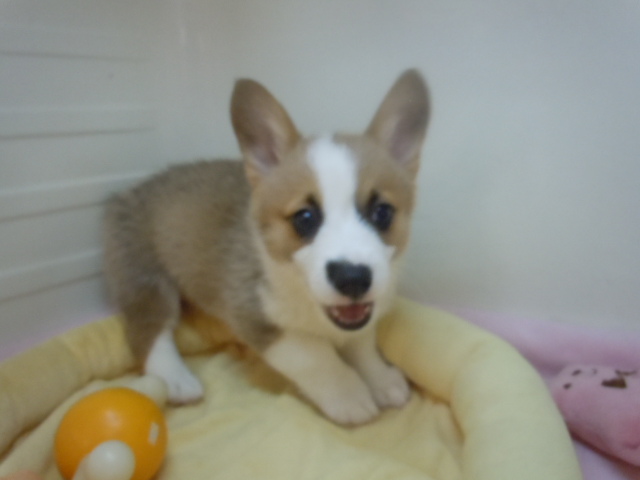 あっという間に～(^^)/~~~