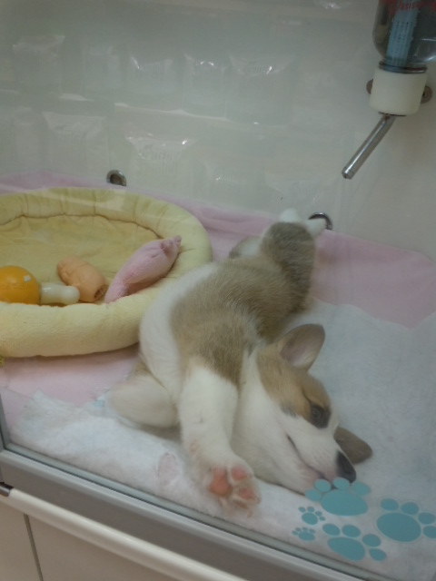 またもや。。。