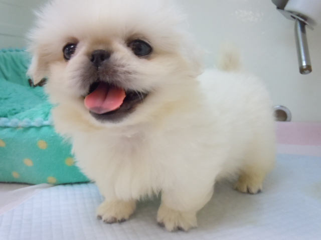 どたばたの交代劇☆
