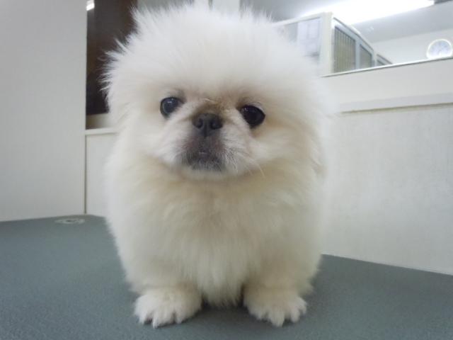 ☆身だしなみ☆