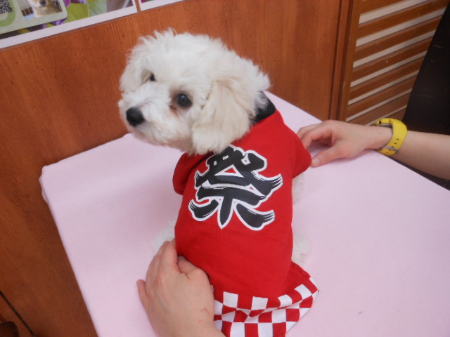 お祭りデート❤