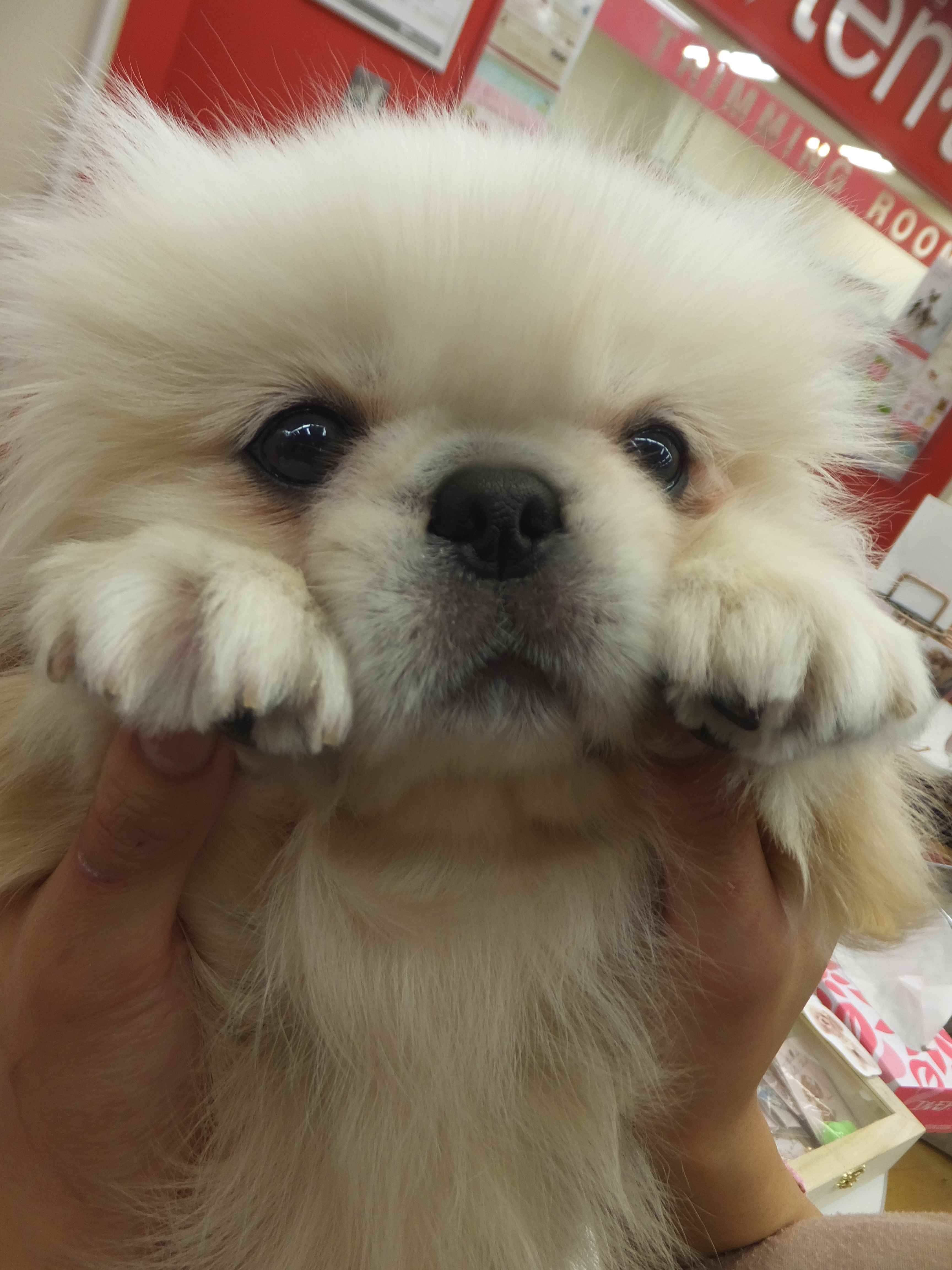 早く迎えにきてくれないかな？☆