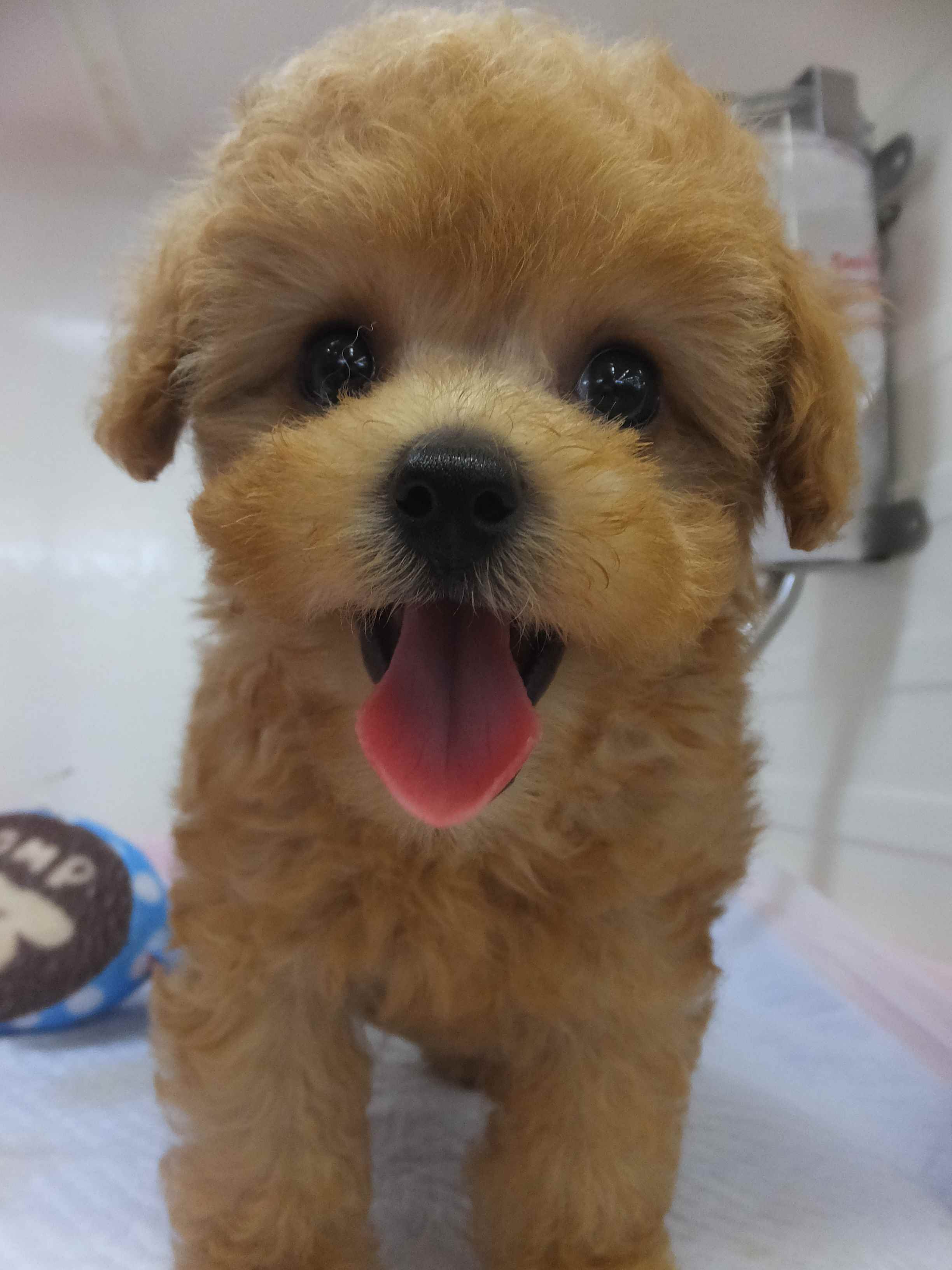 おひさしぶりでーーーす(*・∀・*)Ｖ