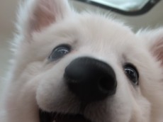 ボクの毎日♡