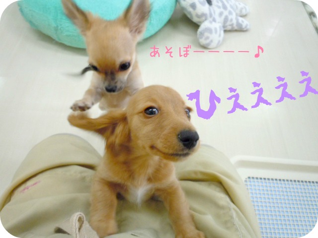 ★プレイルームデビュー！！★