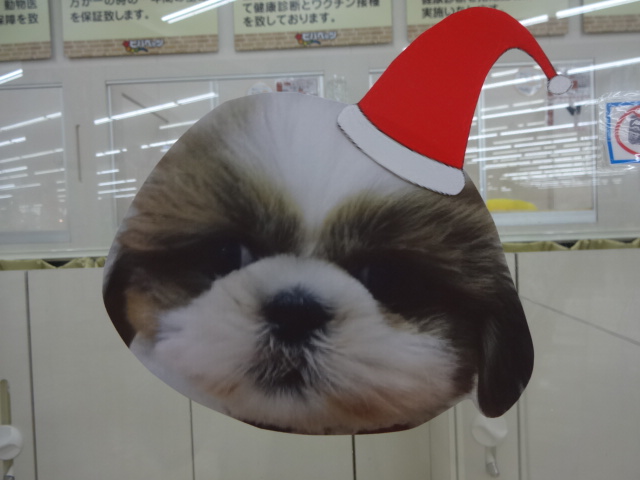 ☆　クリスマスは今年もやってくる～♪　☆