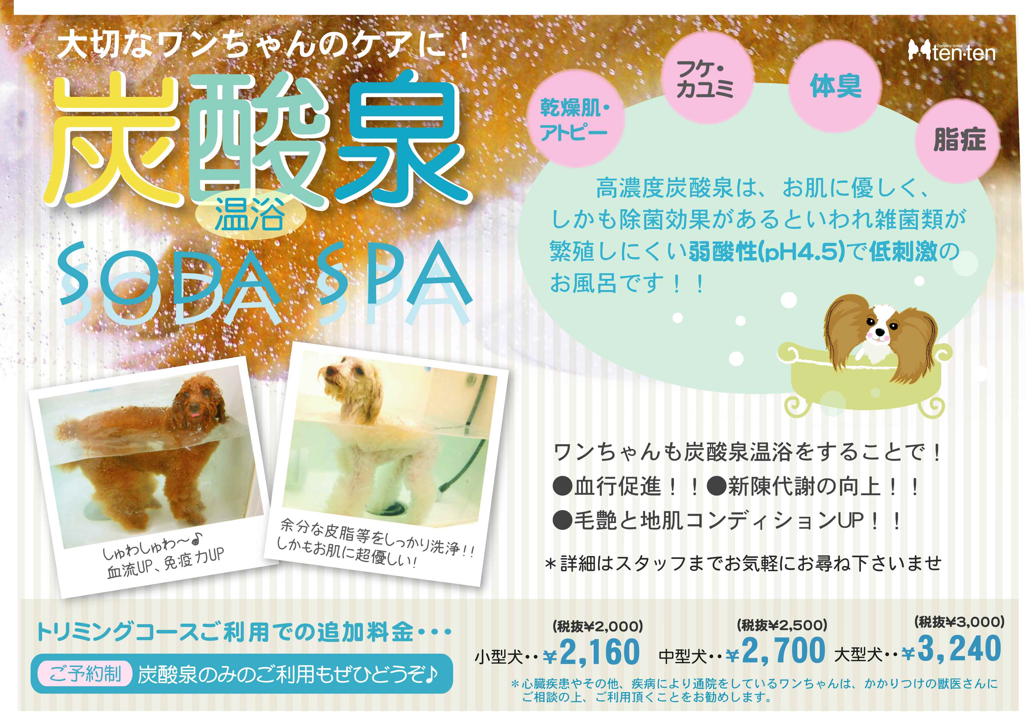 炭酸泉 ペットハウステンテンペットハウステンテン