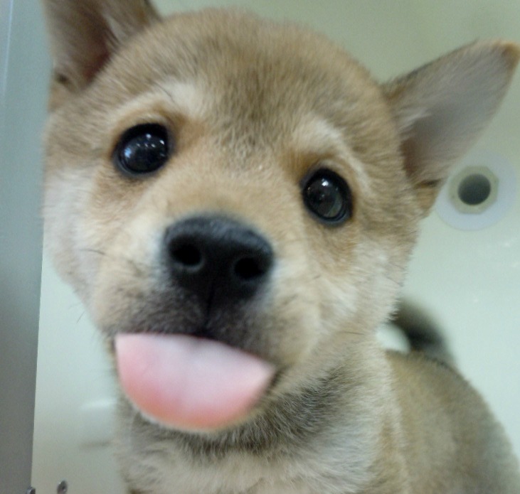 ★大人っぽくなってきた！！！★