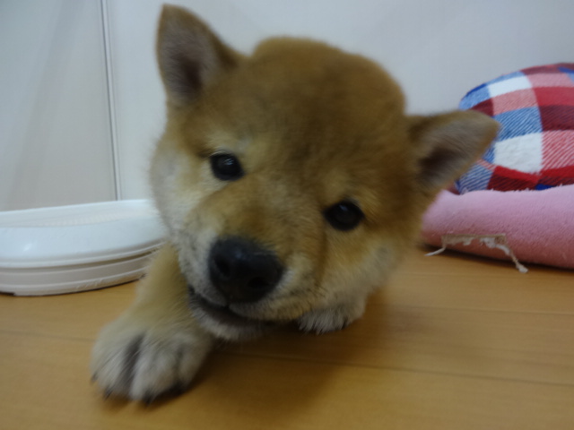 ☆　旅立ちの巻　☆