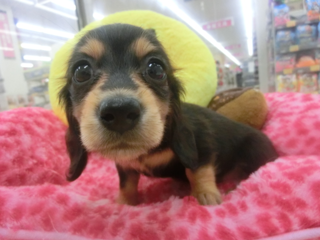 新人さんご紹介~~☆