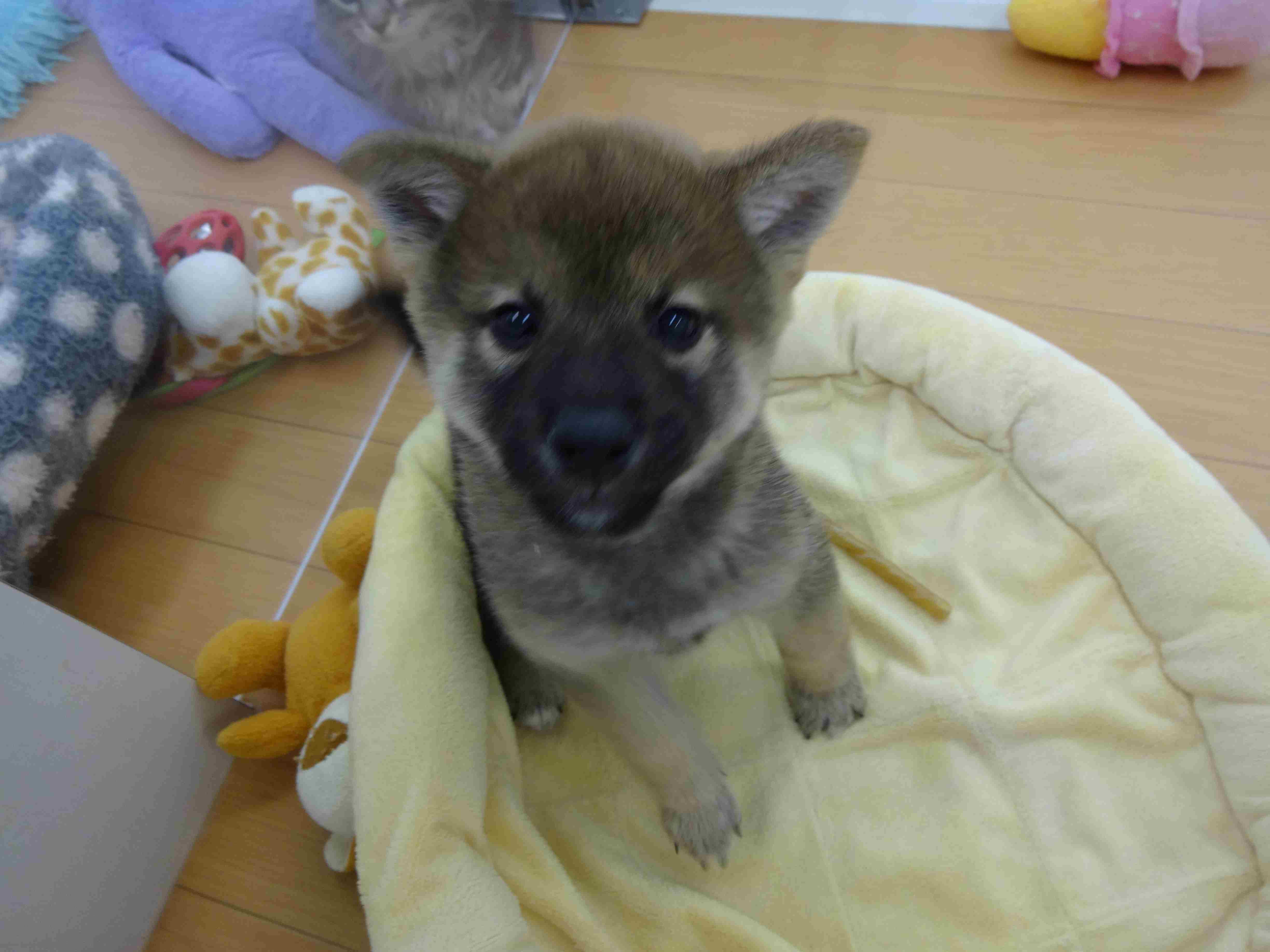 ☆　お昼寝タイム　☆